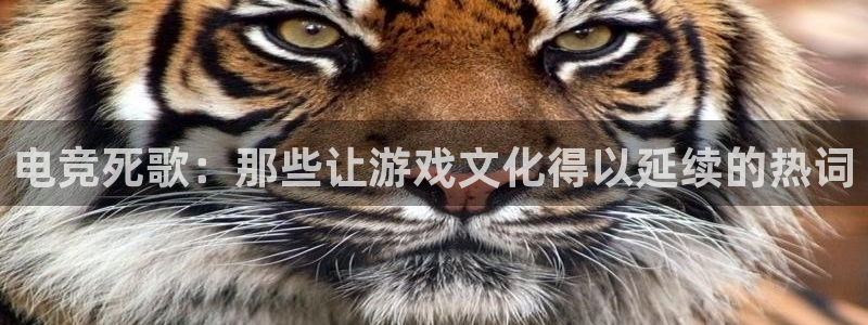uwin电竞平台：电竞死歌：那些让游戏文化得以延续的热词