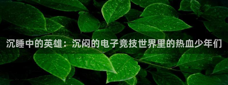 uwin电竞网址：沉睡中的英雄：沉闷的电子竞技世界里的热血少年们