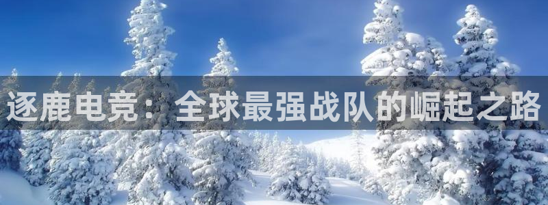 Uwin电竞注册：逐鹿电竞：全球最强战队的崛起之路