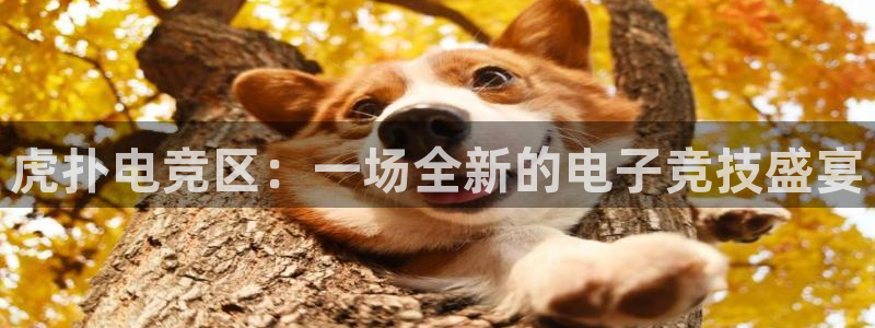 uwin电竞下载：虎扑电竞区：一场全新的电子竞技盛宴