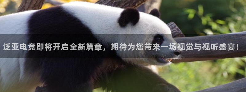 uwin电竞官网：泛亚电竞即将开启全新篇章，期待为您带来一场视觉与视听盛宴！
