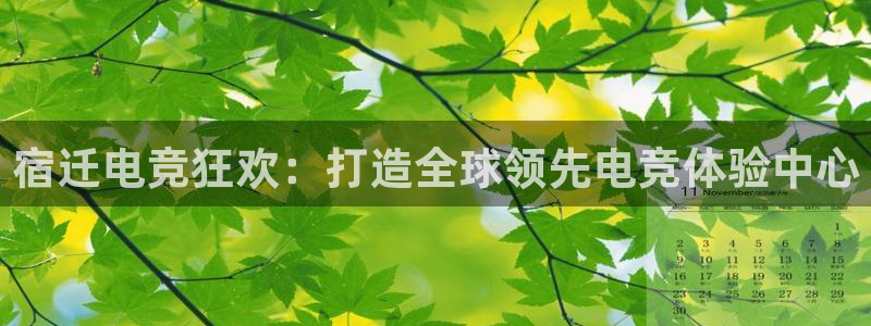 uwin电竞app下载：宿迁电竞狂欢：打造全球领先电竞体验中心