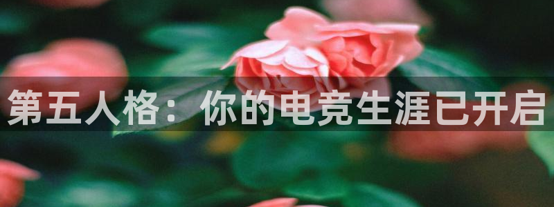 uwin电竞app下载：第五人格：你的电竞生涯已开启